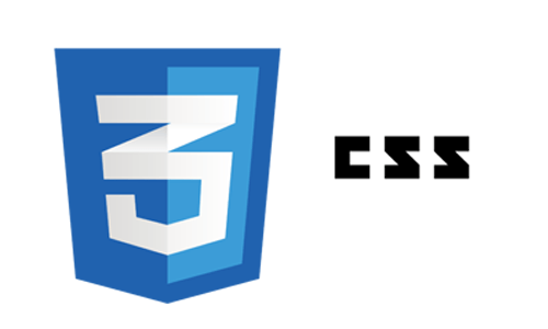 CSS Web Development Company